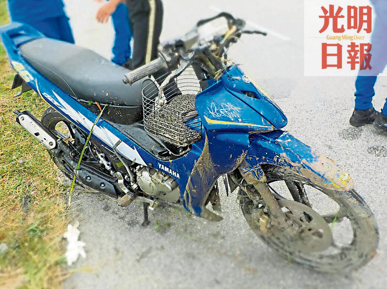 PBW2362MPAT-180101-10031