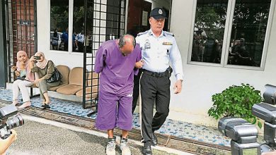 Photo of 涉蘆骨4死5傷車禍 羅里司機延扣