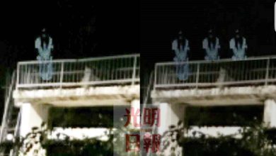 Photo of 2男釣蝦見女鬼假的 專家湊熱鬧變3女鬼