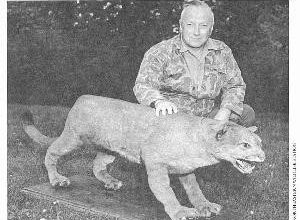 Photo of 最後目擊在1938！東部美洲獅「消失80年」　宣布絕種