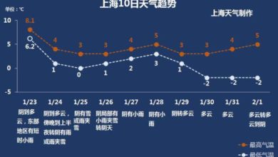 Photo of 近10年來罕見　上海24日入夜後連5天降大雪至暴雪等級
