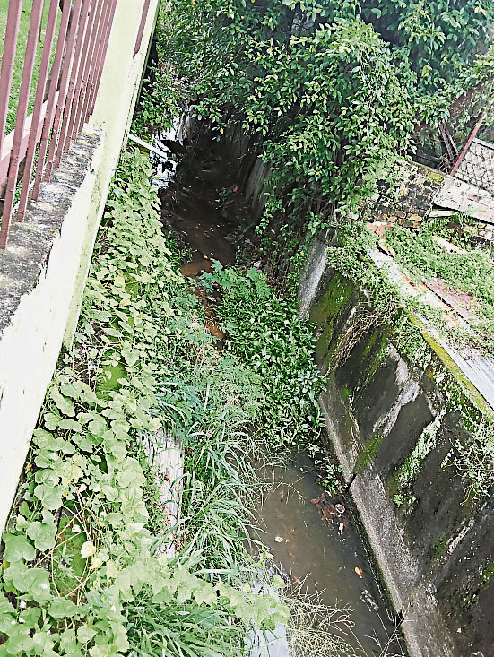 messm180118003