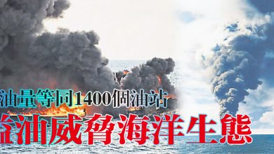 Photo of 【東海撞船事故】漏油量等同1400個油站 溢油威脅海洋生態