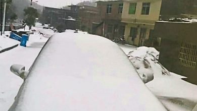 Photo of 廣東第一場雪  氣溫急降發低溫預警