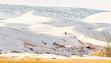 Photo of 撒哈拉沙漠現雪景