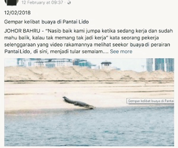 FireShot-Capture-870-1-buaya-di-pantai-lido-–-Facebook-S_-https___www