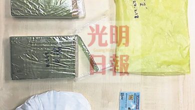 Photo of 司南馬警截查轎車 捕毒販起30萬元毒品