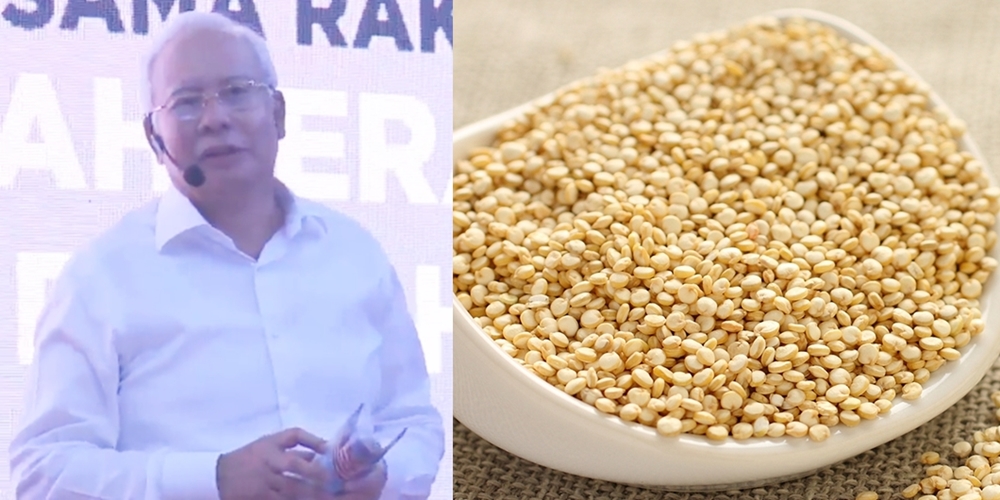 najib-horz