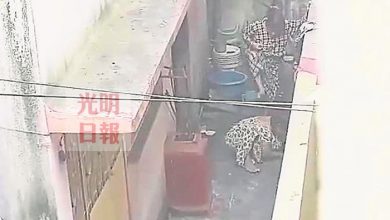Photo of 社媒廣傳婦女打年輕女子視頻 警稱無關虐死女傭案