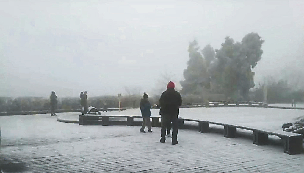 pin0101