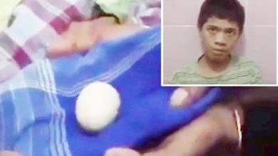 Photo of 3年共誕下20顆蛋 印尼少年被隔離觀察