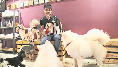 Photo of 寵物友善餐廳擄人心之1:Jdog House & Cafe 寒帶犬友善熱情