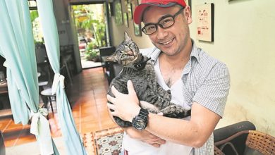 Photo of 寵物友善餐廳擄人心之4：MoonTree 47  流浪貓成招財貓