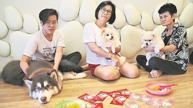 Photo of 寵物友善餐廳擄人心之2:John’s Getaway 和毛孩一同用餐