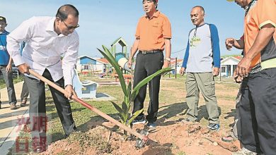 Photo of 班茶漁村獲500樹苗 漁民種椰樹增收入