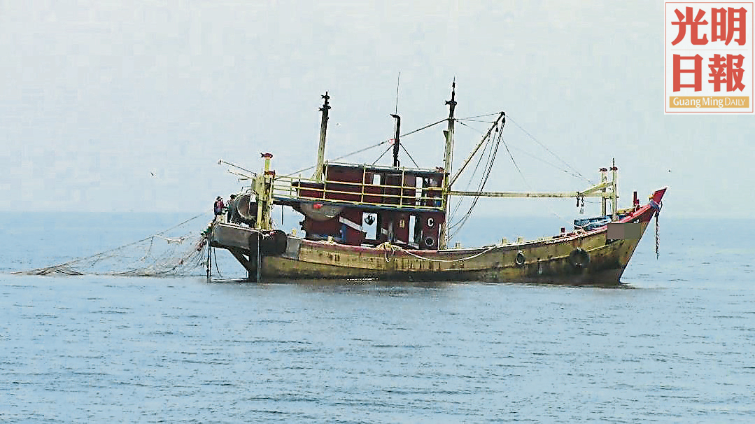 PAS2240MPPH-5180317-10006
