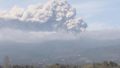 Photo of 新燃岳火山爆發性噴發 逾60班航班取消