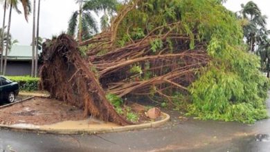 Photo of 熱帶氣旋“馬庫斯”吹襲澳洲 數萬戶缺水缺電