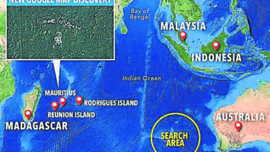 Photo of 澳工程師：查到殘骸位置  聲稱MH370機身佈滿彈痕