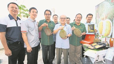 Photo of 本地加工廠打響首砲 16噸榴槤果泥銷廣東