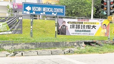 Photo of 今起至9日  綜藝玩很大赴森拍攝