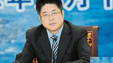 Photo of 資深外交官 樂玉成任中國副外長