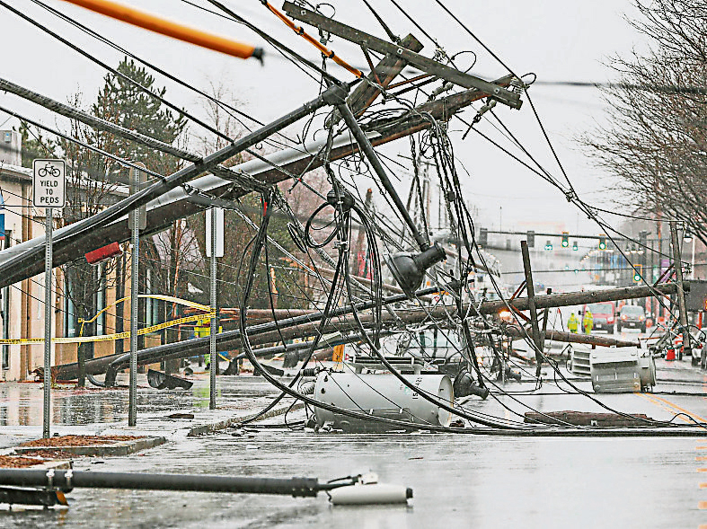 pinus-storm-power