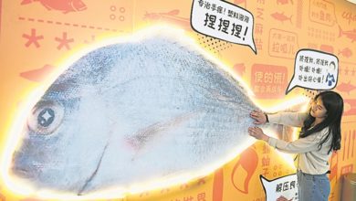 Photo of 大魚“解壓牆”捏泡泡解壓
