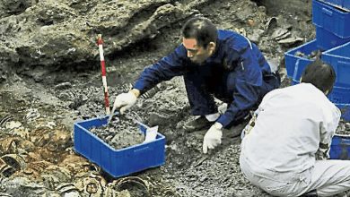 Photo of 宋代沉船南海一號 發現外籍水手骸骨