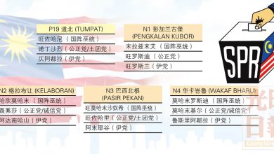 Photo of 丹州道北1國4州選區提名形勢