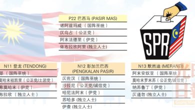 Photo of 丹州巴西馬1國3州選區提名形勢