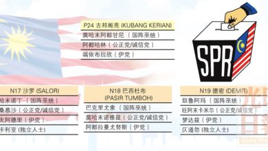 Photo of 丹州古邦閣亮1國3州選區提名形勢