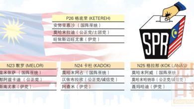 Photo of 丹州格底里1國3州選區提名形勢