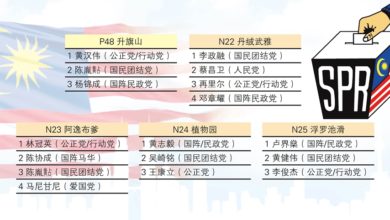 Photo of 檳州升旗山選區提名形勢