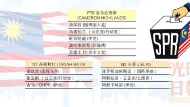 Photo of 彭亨金馬崙高原選區提名形勢