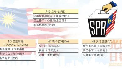 Photo of 彭亨立卑選區提名形勢