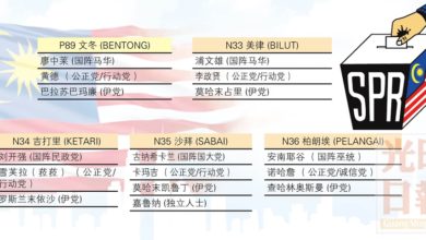 Photo of 彭亨文冬選區提名形勢