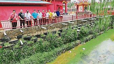 Photo of 淡邊河流變深綠色 又受污染 觸水會癢