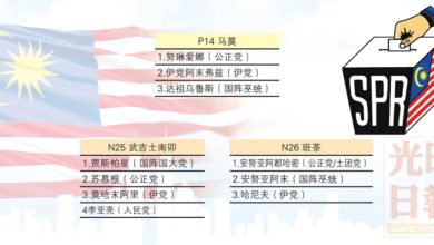 Photo of 吉州馬莫1國2州選區提名形勢
