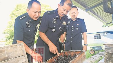 Photo of 7吸毒者偷銀蜂窩變賣遭逮 警瓦解2組織起9銀蜂窩