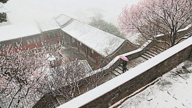 Photo of 北京30年來首次4月飄雪