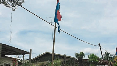 Photo of 周碧珠:避免遭破壞 邀選民在家掛藍眼旗