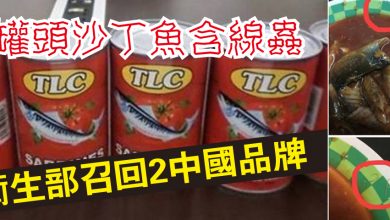 Photo of 罐頭沙丁魚含線蟲  衛生部召回2中國品牌
