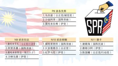 Photo of 吉州波各先那選區提名形勢