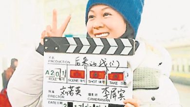 Photo of 劉若英 爭議中登最賣女導