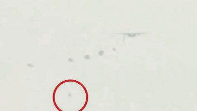 Photo of 打不開降落傘  傘兵1300呎高空墜地命危