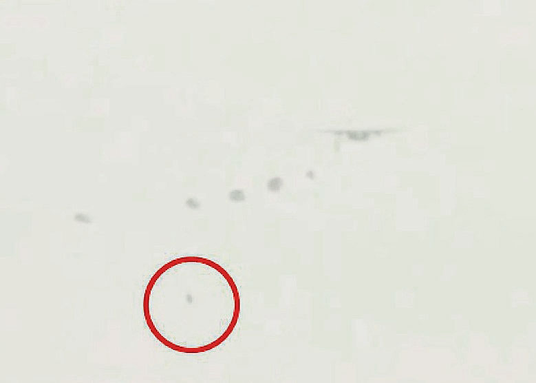 PIN2018051708080