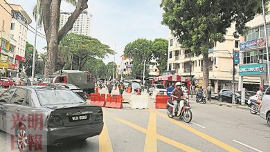 Photo of 大樹移植20呎 大路後擴路下週完工