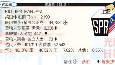 Photo of 【雪蘭莪國席】P100 班登 (PANDAN)