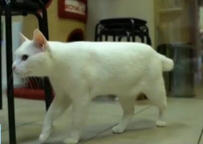 641